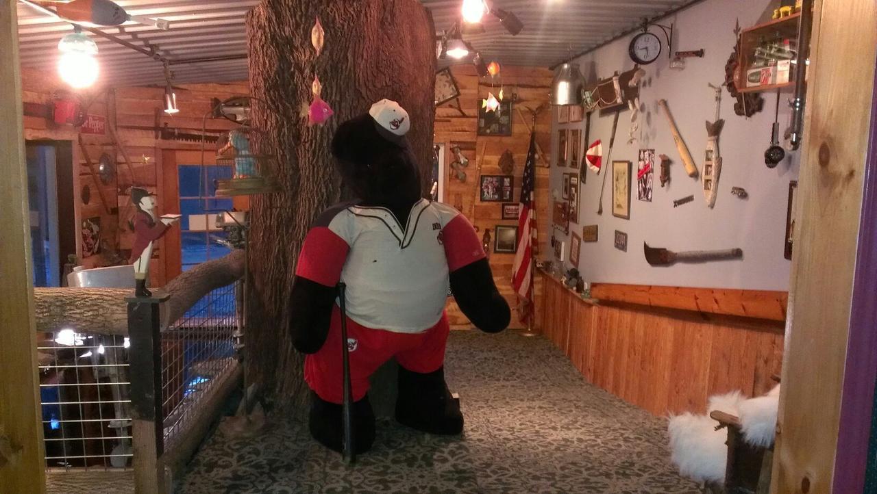 كوبرستاوون Whisperin' Pines Chalet المظهر الخارجي الصورة